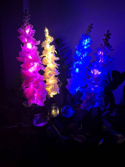 Saulės Kardeliai Šviestuvas - Elegantiškas Lauko Apšvietimas (2 vnt.)