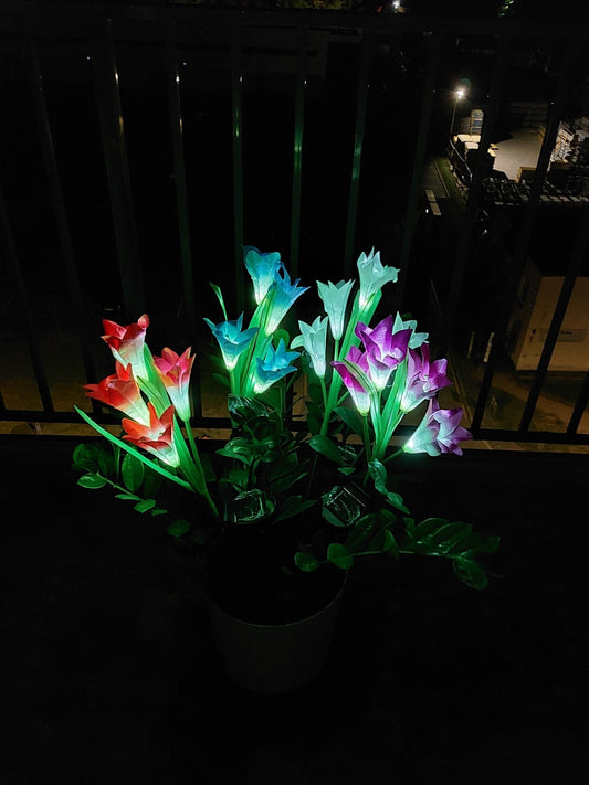 Saulės energija įkraunamas šviestuvas Lelijos (2 vnt.)