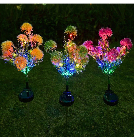 Pienių Kamuoliukai Saulės Šviestuvas - Natūralūs Gėlių LED (2 vnt.)