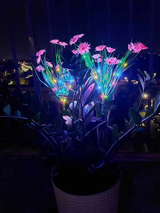 Ramūnėlės Saulės Šviestuvas - Natūralūs Gėlių LED (2 vnt.)